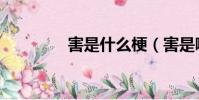 害是什么梗(害是哪個梗)