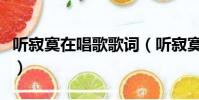 聽寂寞在唱歌歌詞(聽寂寞在唱歌歌詞是什么)