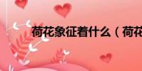 荷花象征著什么(荷花象征意義)