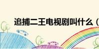 追捕二王電視劇叫什么(快去看看吧)