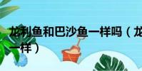 龍利魚和巴沙魚一樣嗎(龍利魚和巴沙魚一不一樣)