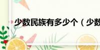 少數民族有多少個(少數民族的介紹)