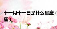 十一月十一日是什么星座(十一月十一日的星座)
