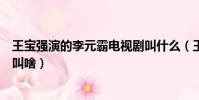 王寶強演的李元霸電視劇叫什么(王寶強演的李元霸電視劇叫啥)