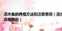 活水魚的養殖方法和注意事項(活水魚的養殖方法和注意事項有哪些)