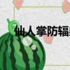 仙人掌防輻射嗎（仙人掌能不能防輻射）