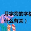 月字旁的字都和什么有關（月字旁的字具體和什么有關）