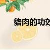 貉肉的功效與作用（貉相關資料介紹）