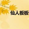 仙人板板什么意思（仙人板板含義）