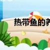 熱帶魚的養殖方法（熱帶魚如何養殖）