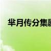羋月傳分集劇情（羋月傳1-3集劇情簡介）