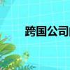 跨國公司的定義（跨國公司是什么）