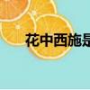 花中西施是什么花（花中西施的簡介）