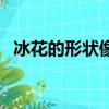 冰花的形狀像什么（關于冰花形成的介紹）
