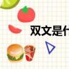 雙文是什么意思（雙文是啥意思）