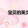寶貝的英文怎么寫（寶貝的英文翻譯）