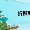 折柳寓意（折柳是什么意思）