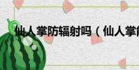 仙人掌防輻射嗎(仙人掌能不能防輻射)