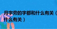 月字旁的字都和什么有關(月字旁的字具體和什么有關)