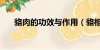貉肉的功效與作用(貉相關資料介紹)