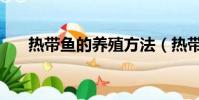 熱帶魚的養殖方法(熱帶魚如何養殖)