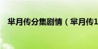 羋月傳分集劇情(羋月傳1-3集劇情簡介)