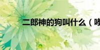 二郎神的狗叫什么(哮天犬簡介)