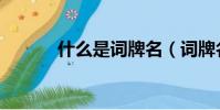 什么是詞牌名(詞牌名是什么)