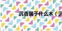 沉香屬于什么木(沉香介紹)