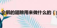 企鵝的翅膀用來做什么的(企鵝翅膀的作用)