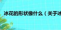 冰花的形狀像什么(關于冰花形成的介紹)
