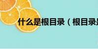 什么是根目錄(根目錄是什么意思)