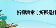 折柳寓意(折柳是什么意思)