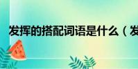 發揮的搭配詞語是什么(發揮的搭配詞語)