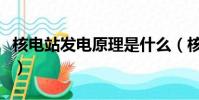 核電站發電原理是什么(核電站發電原理是啥)
