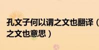 孔文子何以謂之文也翻譯(科普孔文子何以謂之文也意思)