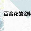 百合花的資料有哪些（百合花的資料介紹）