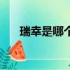瑞幸是哪個國家的（瑞幸歸哪個國家）