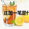 莊加一筆是什么字（莊加一筆到底是什么字呢）
