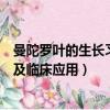 曼陀羅葉的生長習性及臨床應用介紹（曼陀羅葉的生長習性及臨床應用）
