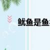 魷魚是魚類嗎（魷魚是否屬于魚類）
