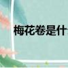 梅花卷是什么意思（梅花卷指的是什么）