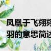 鳳凰于飛翙翙其羽什么意思（鳳凰于飛翙翙其羽的意思簡述）