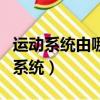 運動系統由哪三部分組成（哪三部分組成運動系統）