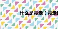 什么是競走(競走的簡介)
