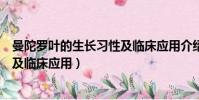 曼陀羅葉的生長習性及臨床應用介紹(曼陀羅葉的生長習性及臨床應用)