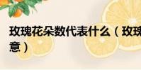 玫瑰花朵數代表什么(玫瑰花朵數代表什么寓意)