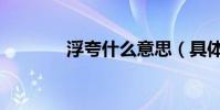 浮夸什么意思(具體是什么)