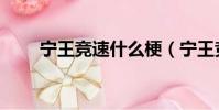 寧王競速什么梗(寧王競速梗介紹)