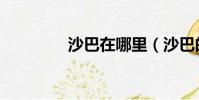 沙巴在哪里(沙巴的簡介)